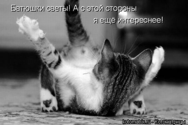 image(284)