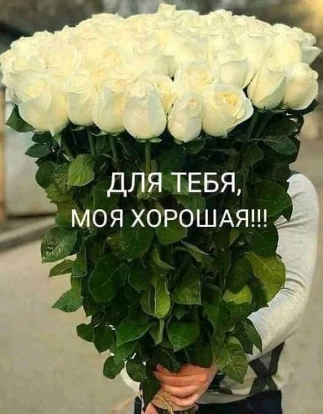 6ea2b11d9d85870ced6808ae09435db5