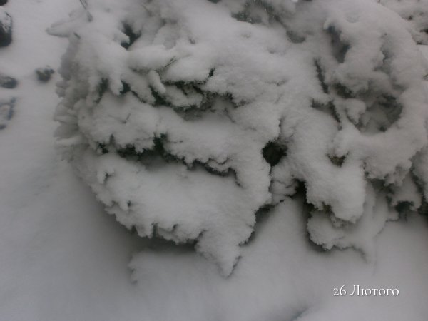 26 Лютого