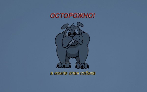 Smeshnie-oboi-s-nadpisyami-krasivo-10