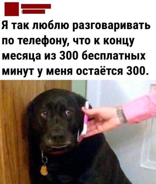 Sbornik-poshlyh-prikolov-i-jumora-iz-interneta-9