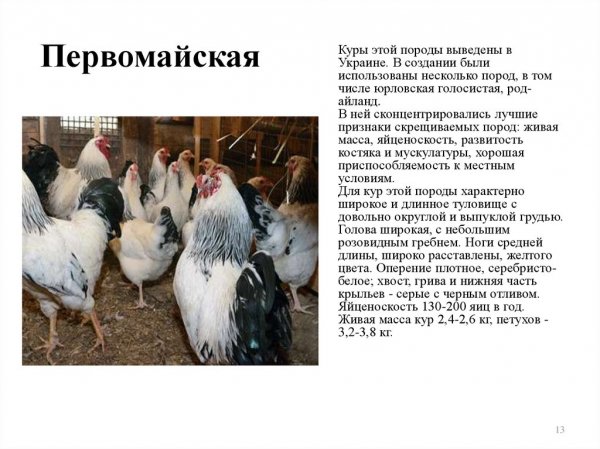 Первомайская