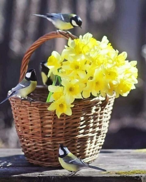 FB IMG 1613941986832