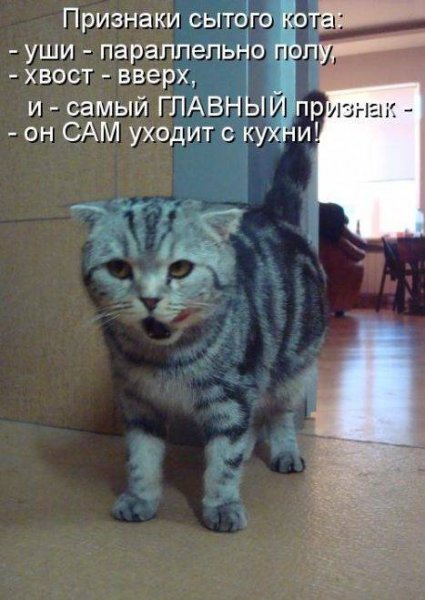 Сам