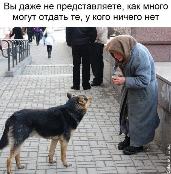 IMG 20240909 212652
