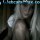 dichat1262538164