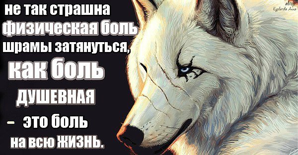 ВОЛК