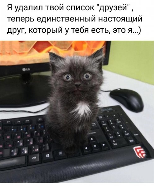 Друг