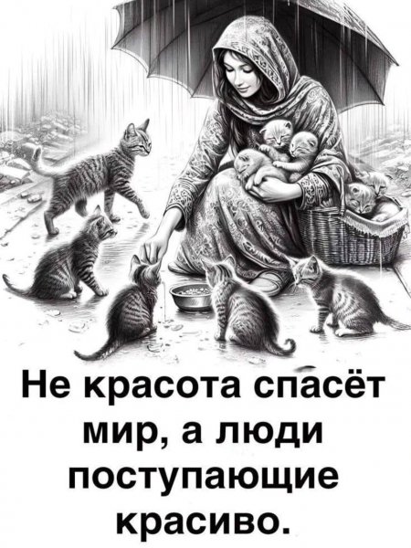 IMG-20260113-WA0094