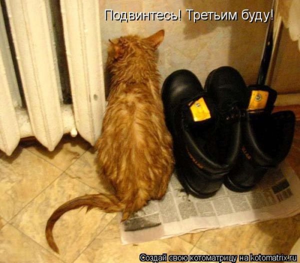 Да! ))