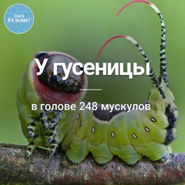 yXyWFaTrCDQ