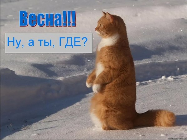 А???