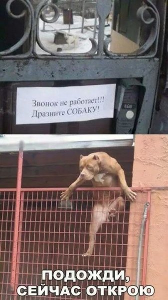 Оба - на!!!