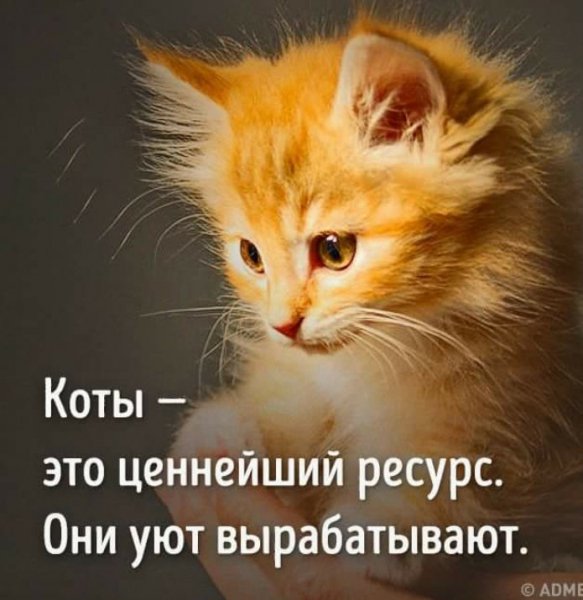 Так!!!