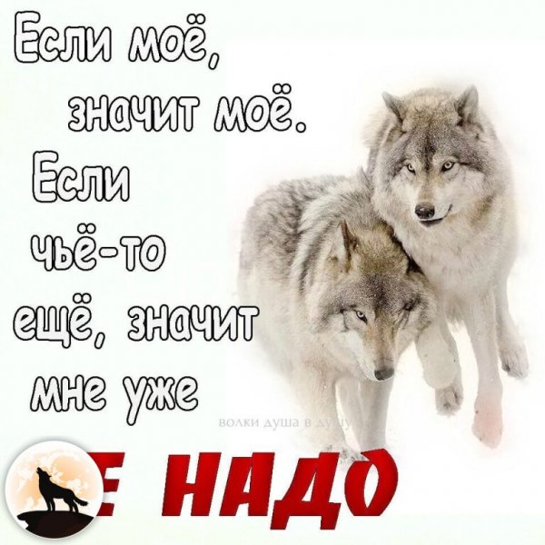 IMG 20240403 224315