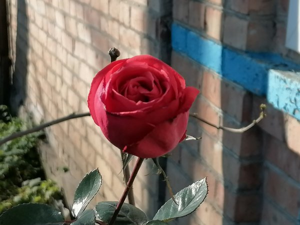 IMG 20240101 121037