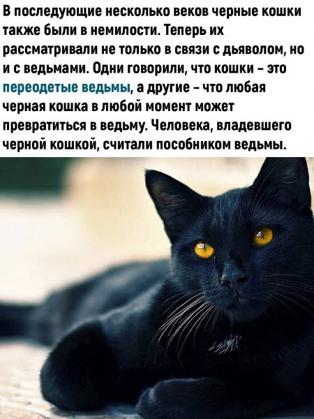 uD9ZWGewi48