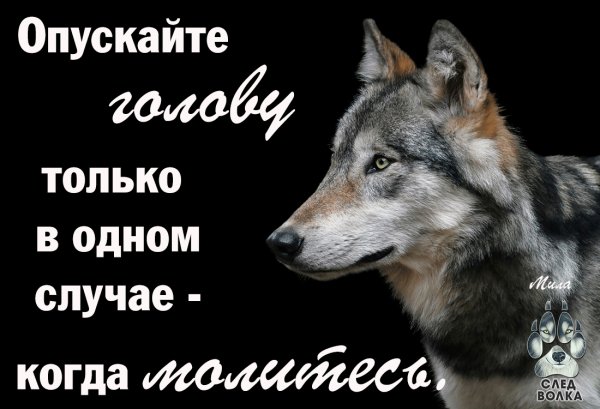 IMG 20180309 103902 104