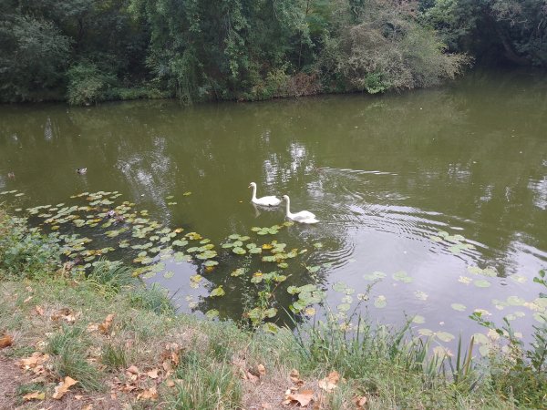 picture_326823455