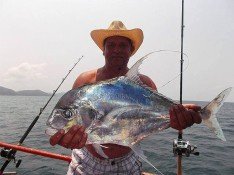 picture_95181311