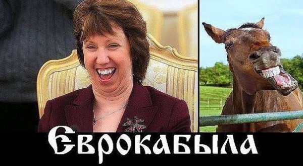 nymAMO UHbk