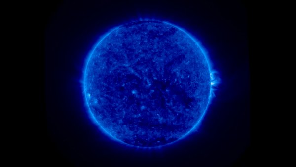 indigo