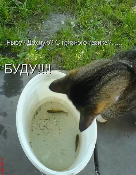 БУДУ!!!!