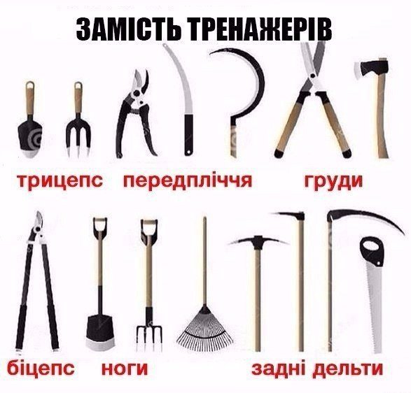 mYsRA7mmvXs