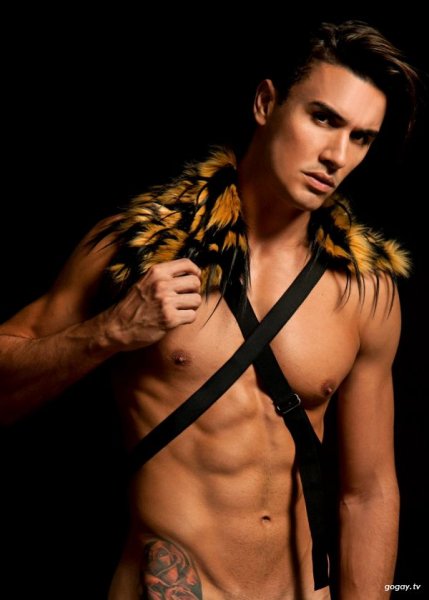 daniel-benjamin-homotography-david-