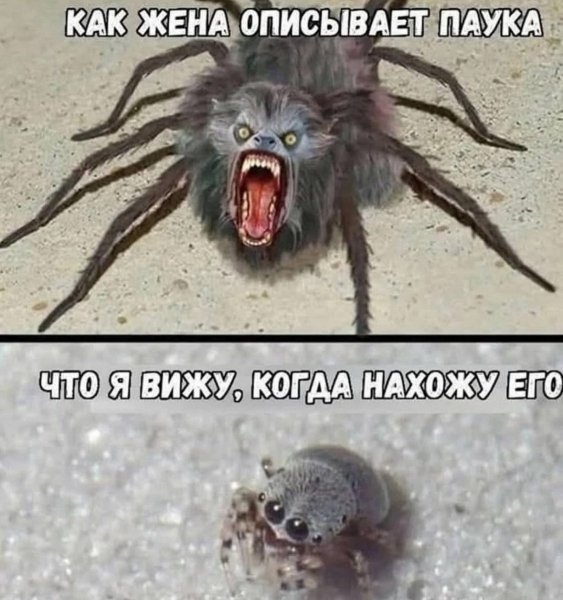 p.1200.1200.0