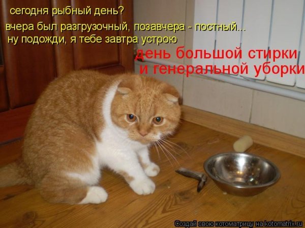 Я тебе завтра устрою