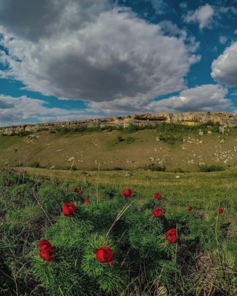 белая скала - Крым
