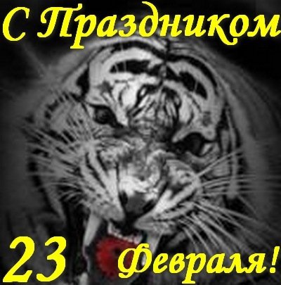 С Праздником 23 Февраля Белый Тигр