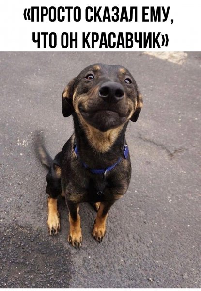 )))