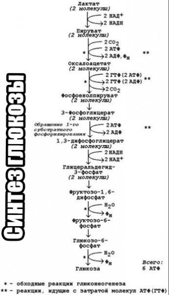 Глюкоза