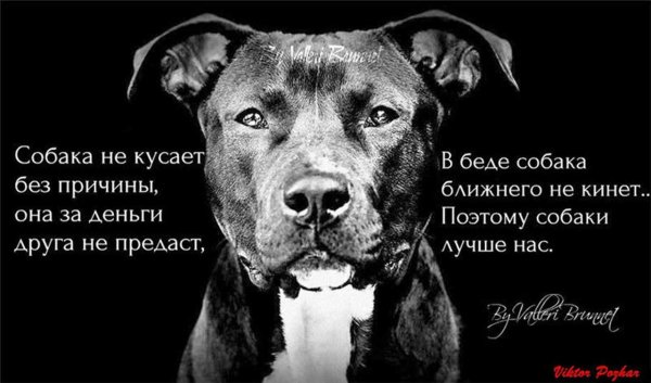 )))))))