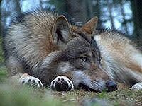 IMG 20150224 194353 1