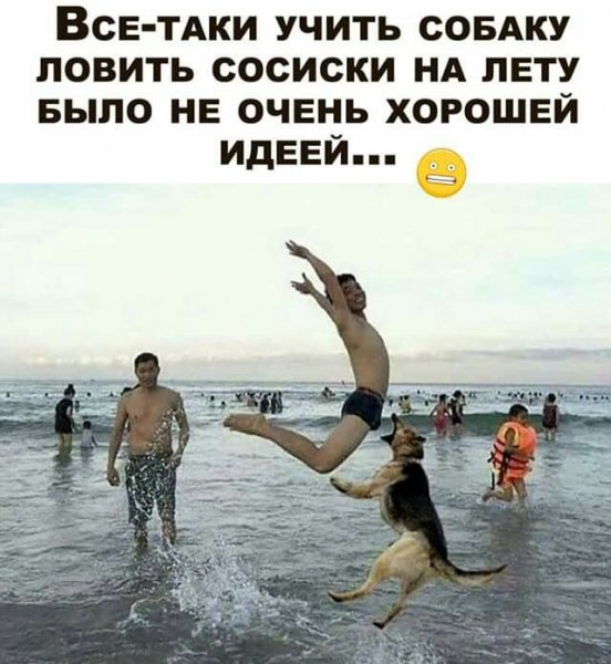 picture_416350959