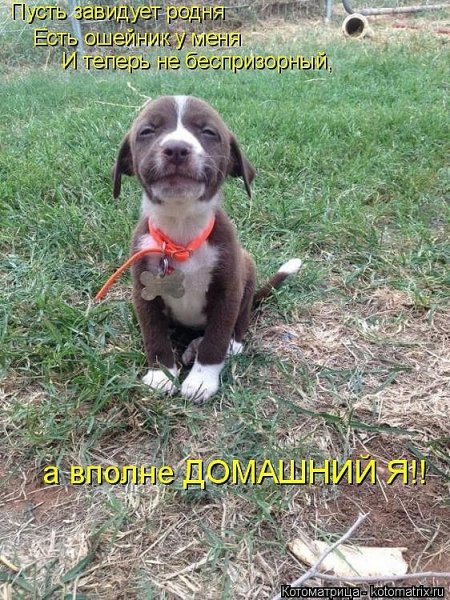 IMG 20160828 113056 86