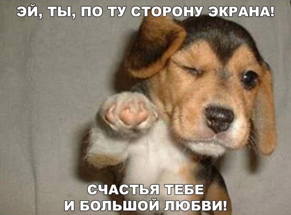 И большой любви!