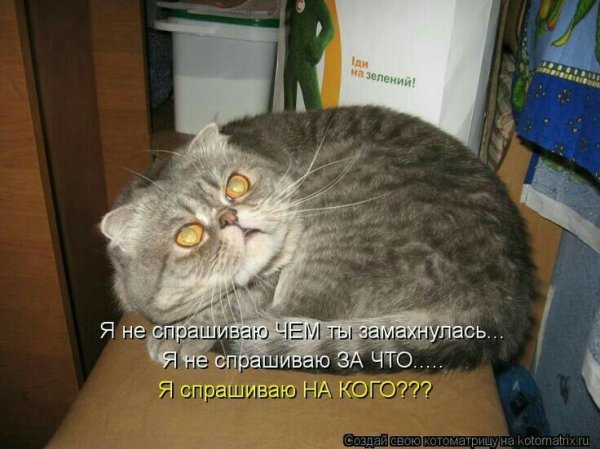 На кого???