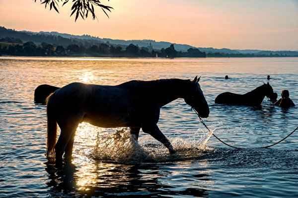 Вода