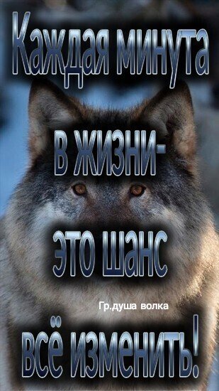 IMG 20200603 182631