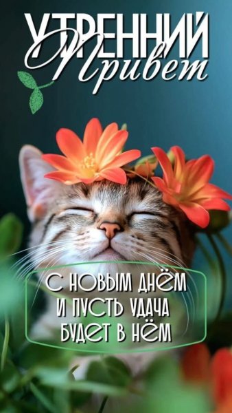 9c87b28ab67c4831bfcefd245c8ae0dd