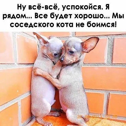 FB IMG 1562524697022