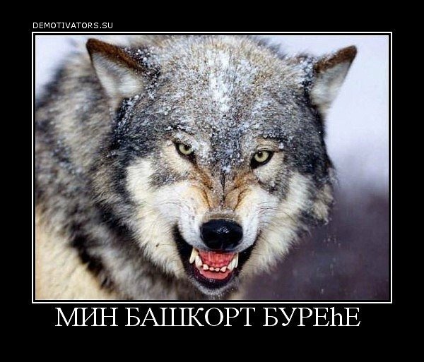 Мин башкорт буреhе