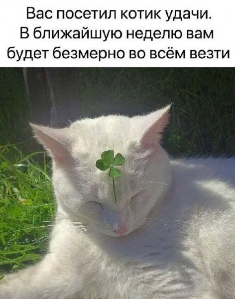 Wordworldword 5545cbd20a14433181f6a357ab8026aa