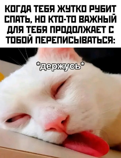picture_383766659