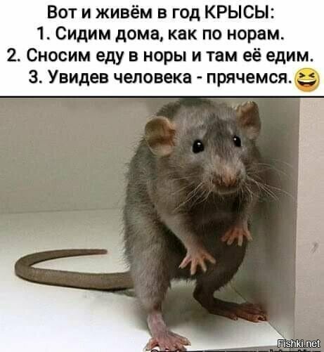 ))