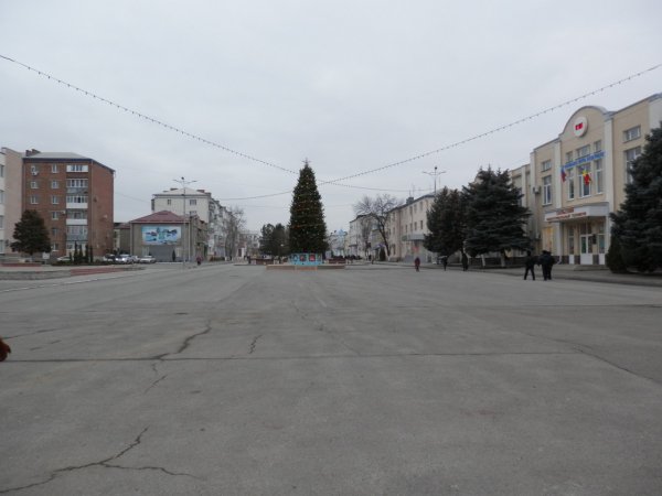 Salsk (116)(elka)